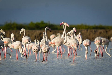 Representative Image.