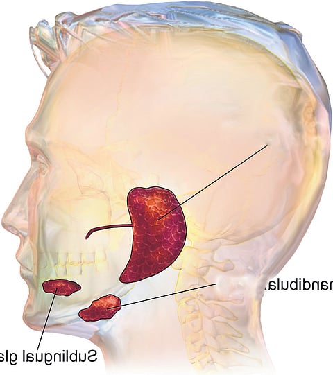 Image used for representational purposes only