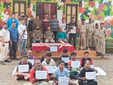 The seized elephant tusks and the accused in Similipal Tiger Reserve in Mayurbhanj district of Odisha