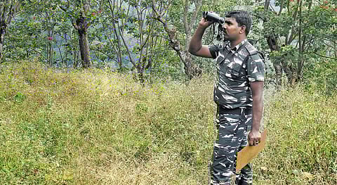 Image of a forest guard used for representational purposes only