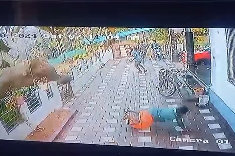 CCTV visual of Aji being attacked by the elephant.