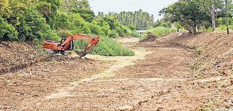 This year, the state government has earmarked `95 crore specifically for Cauvery basin, with the remainder of the funds allocated for other critical zones