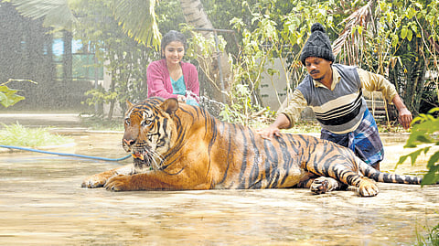 A still from Mr Zoo keeper.