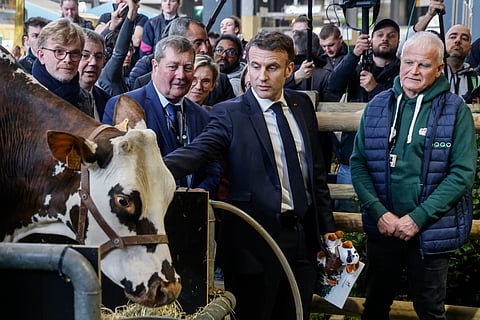French President Emmanuel Macron visits the International Agriculture Fair on the opening day in Paris, Saturday, Feb. 24, 2024.