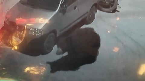 A Sloth bear continues to enter inside the human habitations in Ooty town in Nilgiris district.