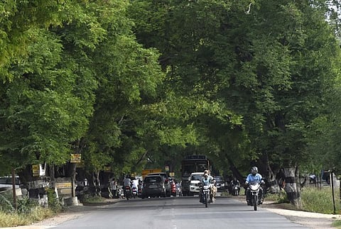 Sathy road in Coimbatore district. .