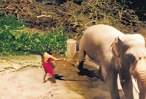 A video grab shows a mahout
beating an elephant at Guruvayur.