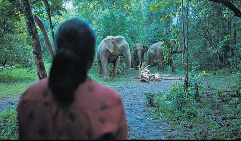 A still from Poacher