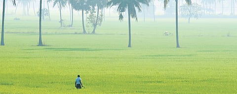 Image used for representational purposes only.