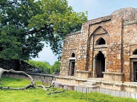 ‘Delhi Tourism Walk Festival’ inaugurated at the Mehrauli Archaeological Park.