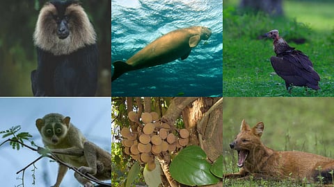 Image used for representational purposes only