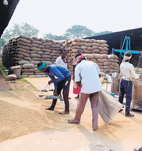 Raipur Diary: New record achieved in paddy procurement