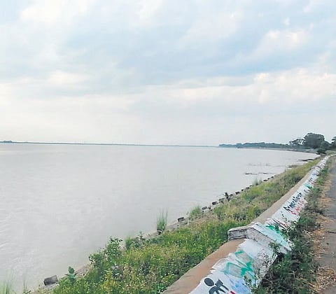 Representative Image.