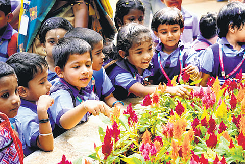 Children marvel at the flowers at Semmozhi Poonga in Chennai
