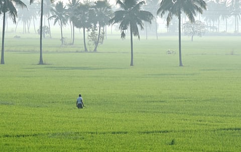 Image used for representation.