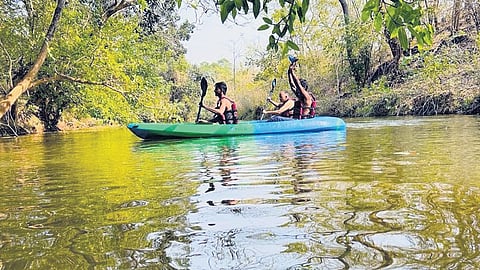 Image used for representational purposes.