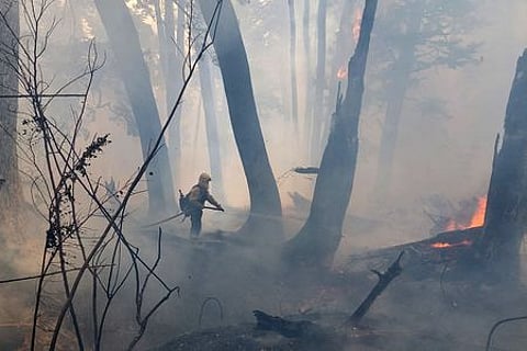 This handout picture released by Argentina's National Parks shows firefighters working during the wildfires at the north slope of Cerro Capitan.