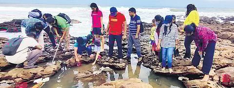 By involving residents in data collection and analysis, they empower individuals to steward their environment and deepen their understanding of the surrounding ecosystems.