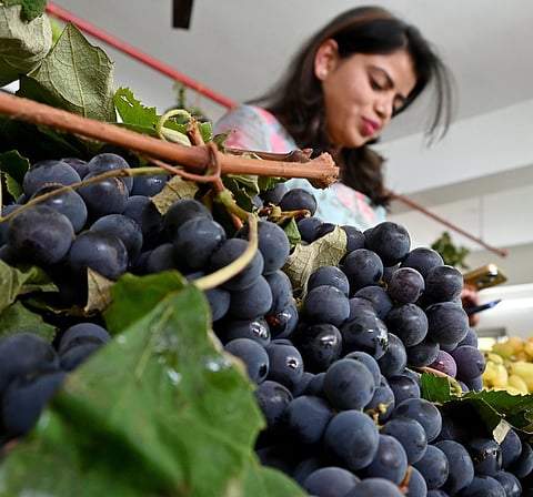 Image of grape sold in an outlet used for representational purposes only.
