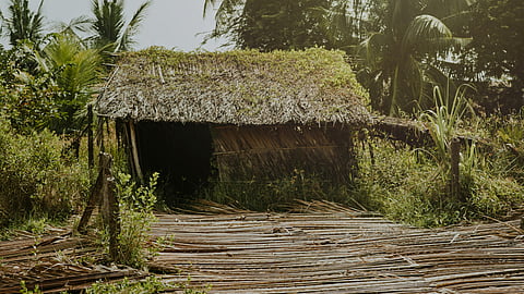 Representative Image.