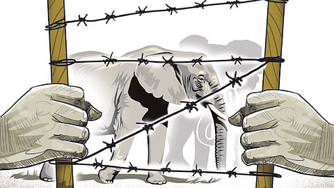 human-animal conflict representational image