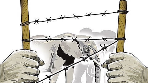 Human-wildlife conflict representational image