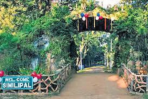 Similipal Tiger Reserve to install AI towers for forest fire detection