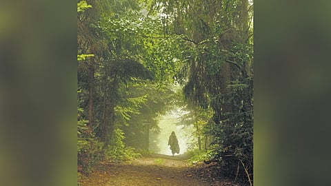 Peace of mind. Image used for representational purpose