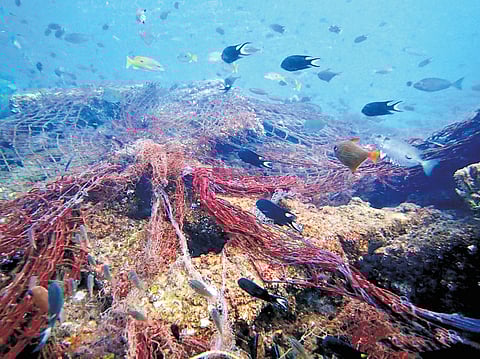 The three-year comprehensive study finds that the biggest contributor to the concentration of microplastics in waterbody is single-use plastic