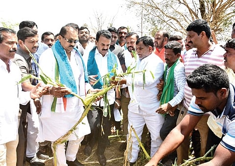 Minister Jupally Krishna Rao and officials inspect a farm on Thursday