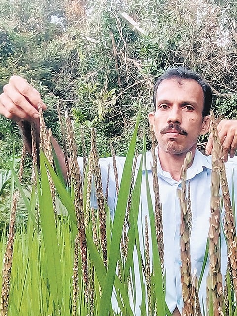 Sathyanarayana Beleri