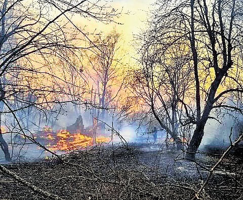 Forest fire incidents are expected to rise significantly in Odisha by 2030.