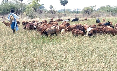 Image used for representative purpose only