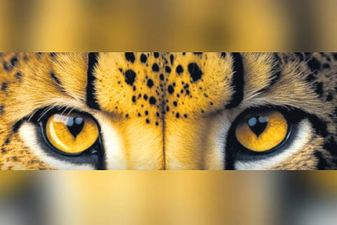 Image used for representational purpose only.