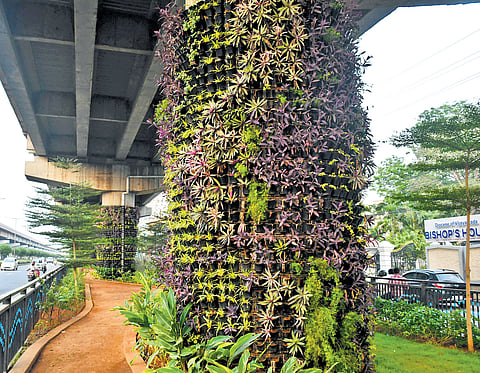 Vertical gardens on the pillars of flyover near Benz Circle I Prasant Madugula