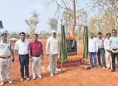 Forest officials at the new facility for training of Kunki elephants at Chandaka wildlife division.