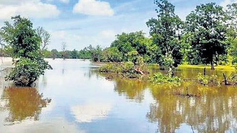 As many as 138 water body rejuvenation projects are set to be implemented across 130 ULBs in Telangana, excluding GHMC.