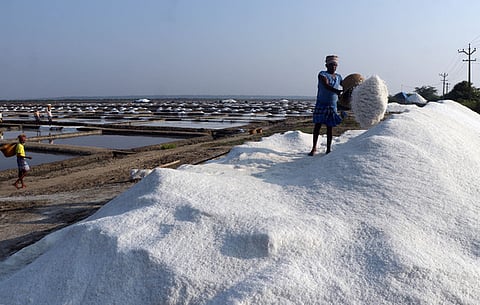 Pictures of the Salt pan at Marakkanam. Image used for representation.