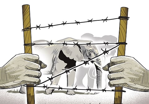 Spotlight on human-animal conflict as Kerala switches to poll mode