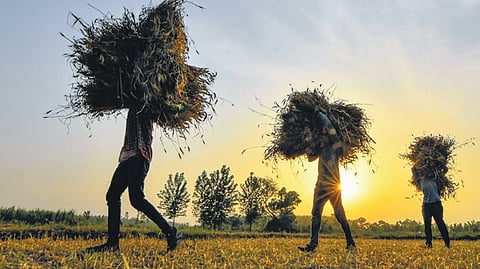 Representational image