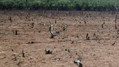 Representational image