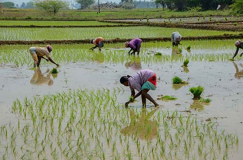 Representative Image.