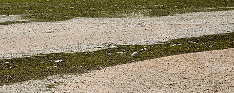 Image used for representational purposes only