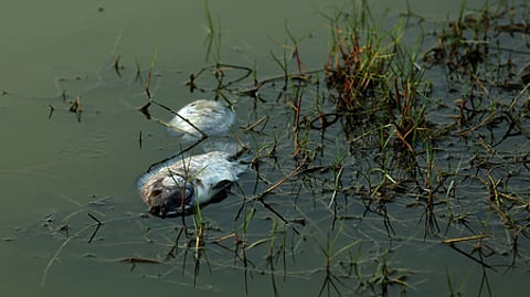 Representative image of increasing water temperature.