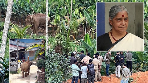 Annie Raja said that she is meeting people and listening to what they have to say about preventing human deaths and destruction of properties and crops in wild animal attacks.