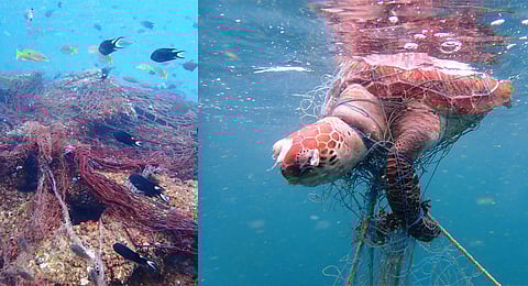 Ghost nets are the major source of microplastic in marine environment. These discarded fishing gear also threaten the marine life, especially turtles and corals.