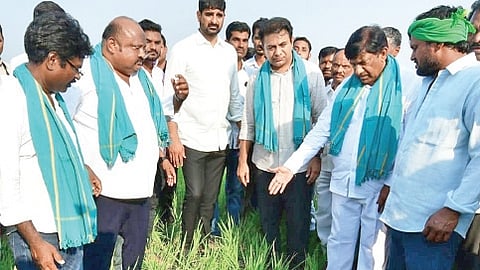 BRS working president KT Rama Rao along with MLAs inspects weathering crop at Irukulla in Karimnaga parliament jurisdiction in Karimnagar on Wednesday