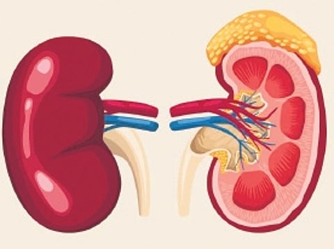 Manage kidney health