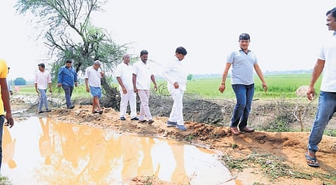 Former MP B Vinod Kumar inspects the paddy fields in Rajanna Sircilla district