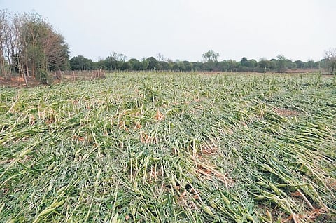 For representational purpose only